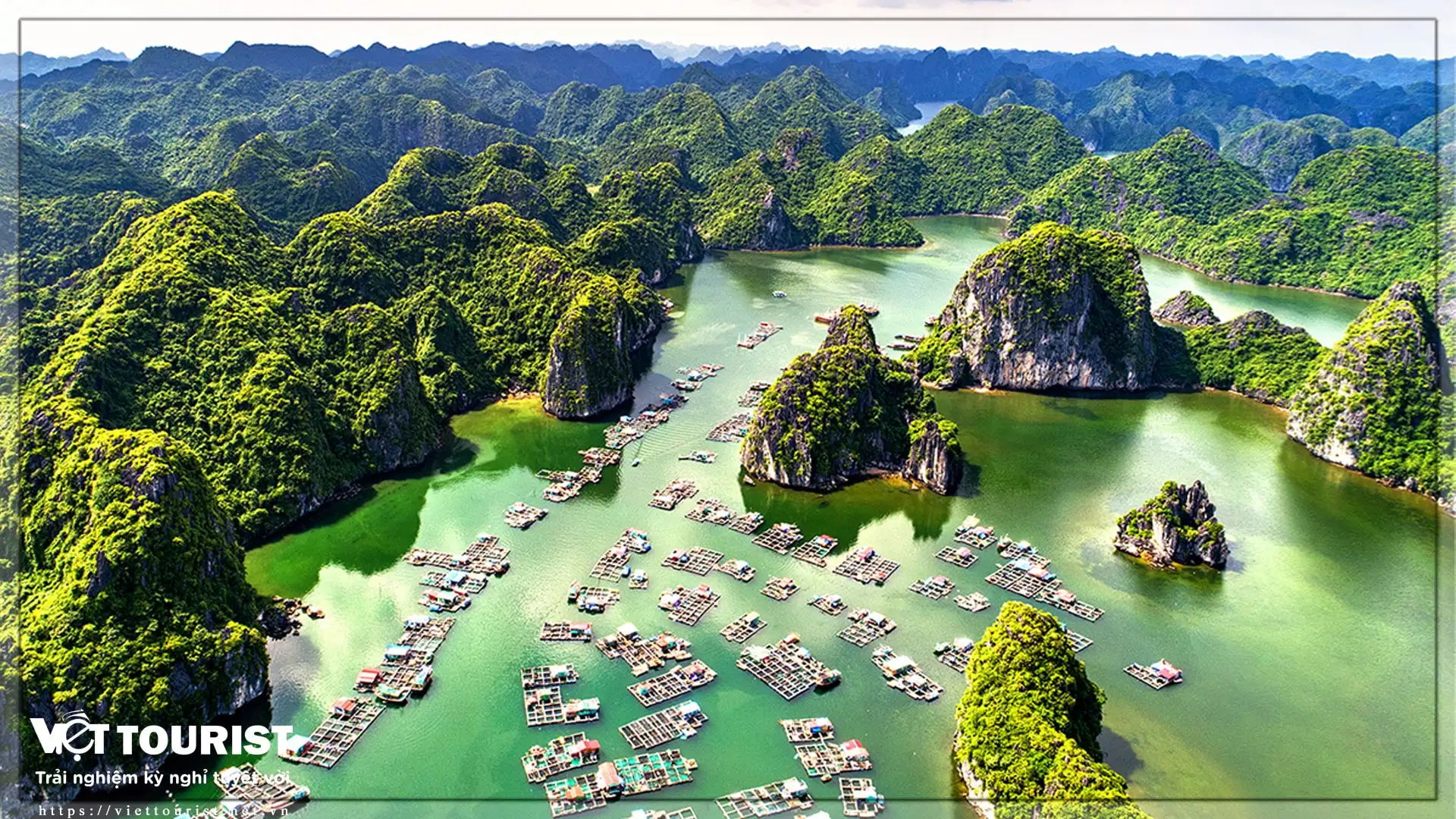 du lịch Vịnh Hạ Long