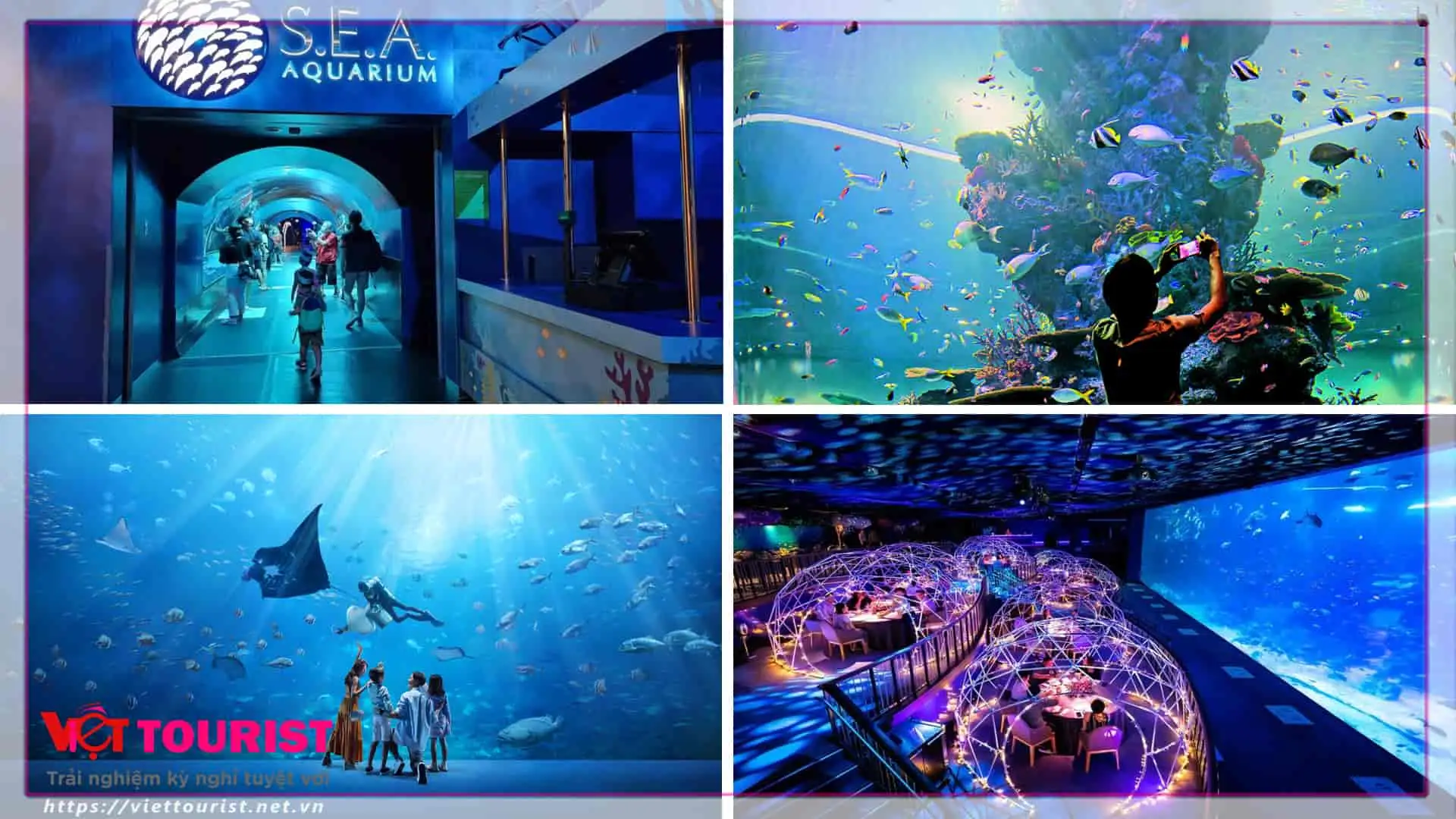 Du lịch Singapore - Danh sách tour Du lịch Singapore - Tour Singapore