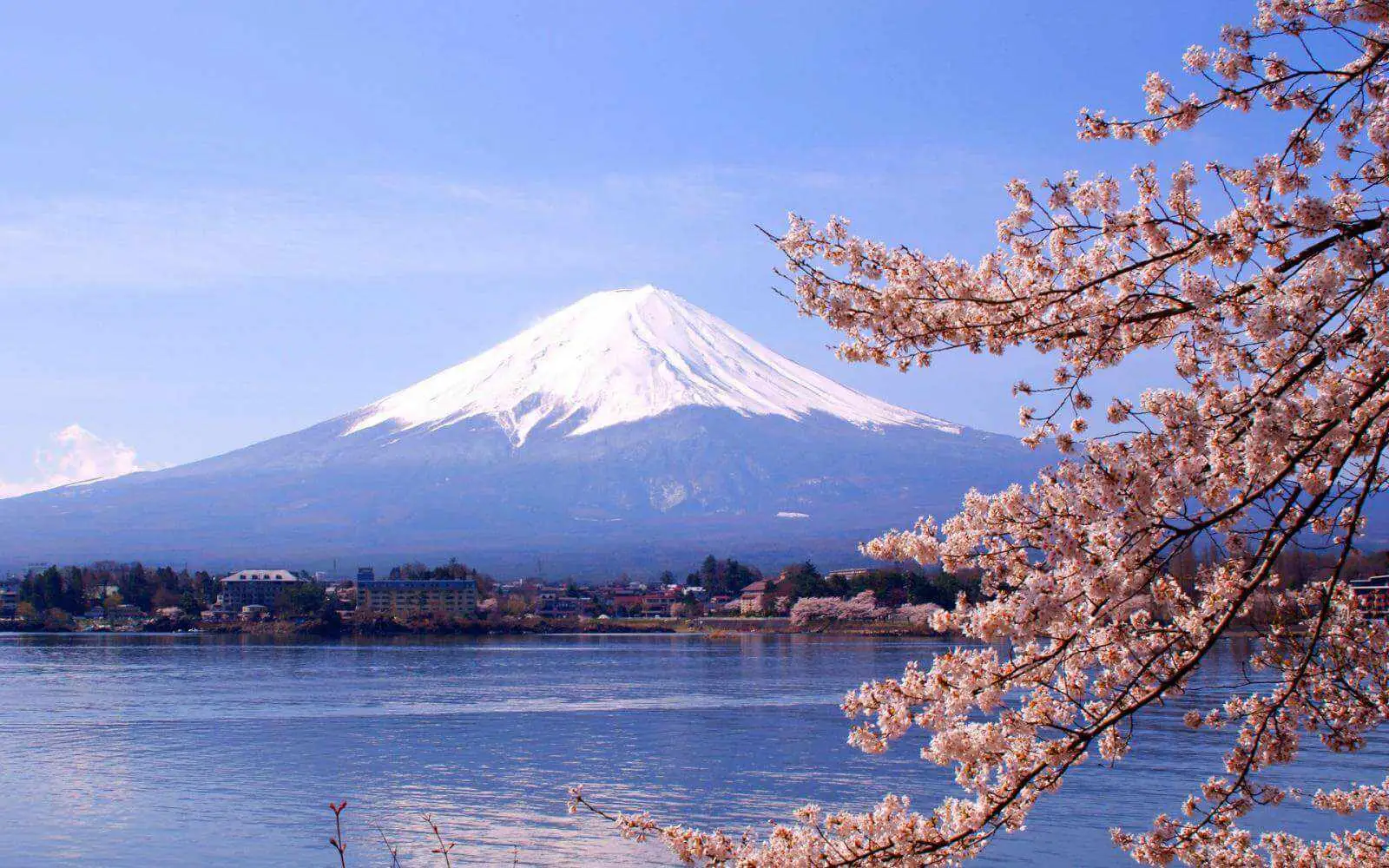Tour Nhật Bản tham quan núi Phú Sĩ và hồ Kawaguchi
