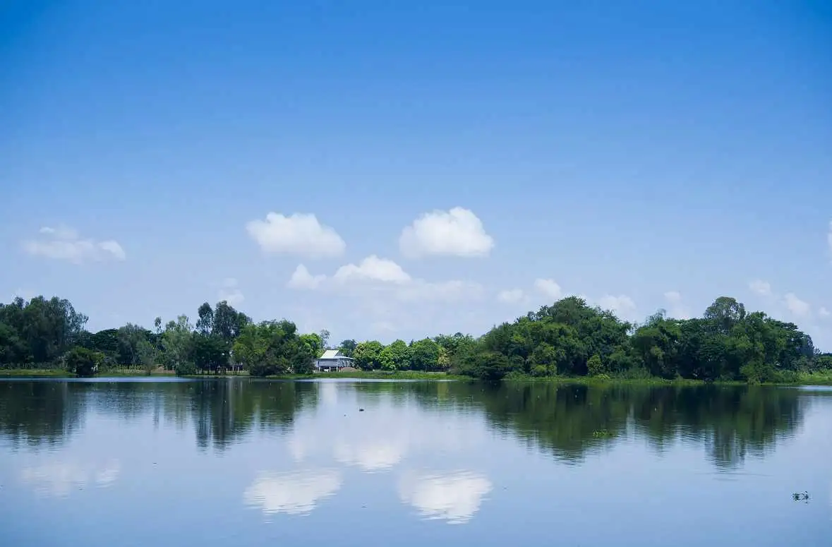 Búng Bình Thiên bảng lảng đậm chất thơ. Tour du lịch An Giang.