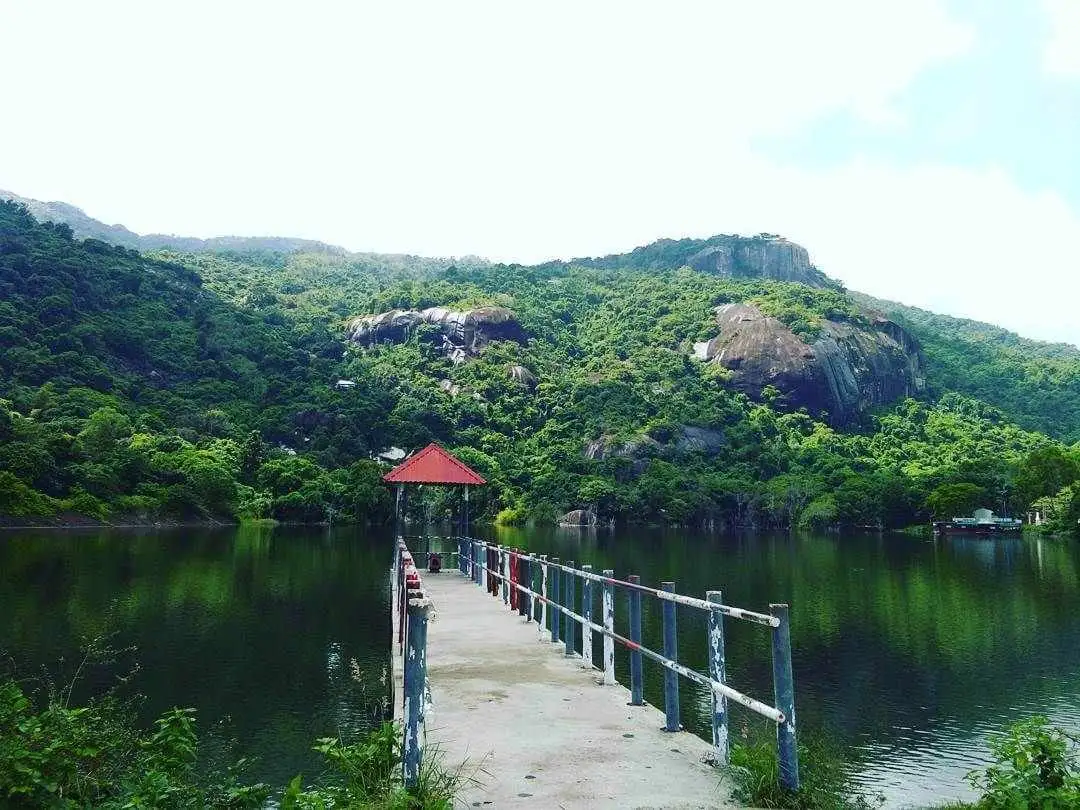 Hồ Soài So cũng là một địa điểm sống ảo lý tưởng cho các bạn trẻ. Tour du lich An Giang