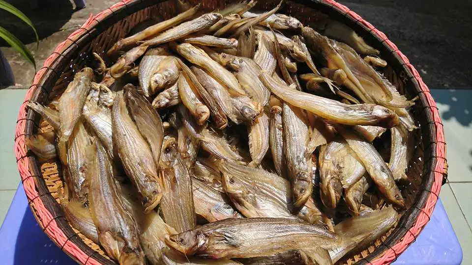 Khô cá trèn rất nổi tiếng và được nhiều khách du lịch An Giang mua về làm quà.