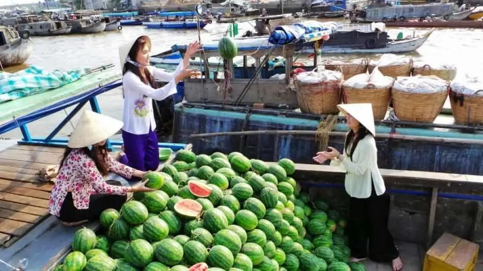 Tour Cần Thơ tham quan chợ nổi Cái Răng vào sáng sớm
