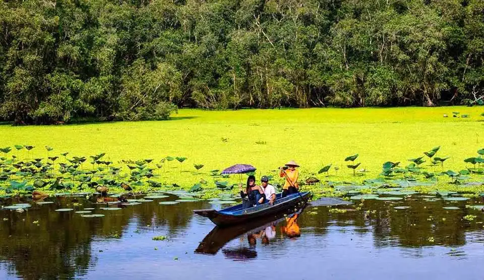 Rừng tràm Trà Sư trong tour Miền Nam