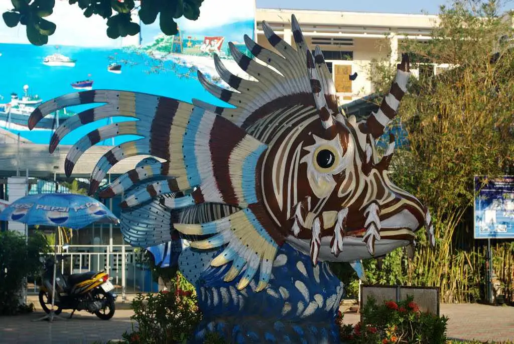 Tham quan Viện Hải dương học Nha Trang