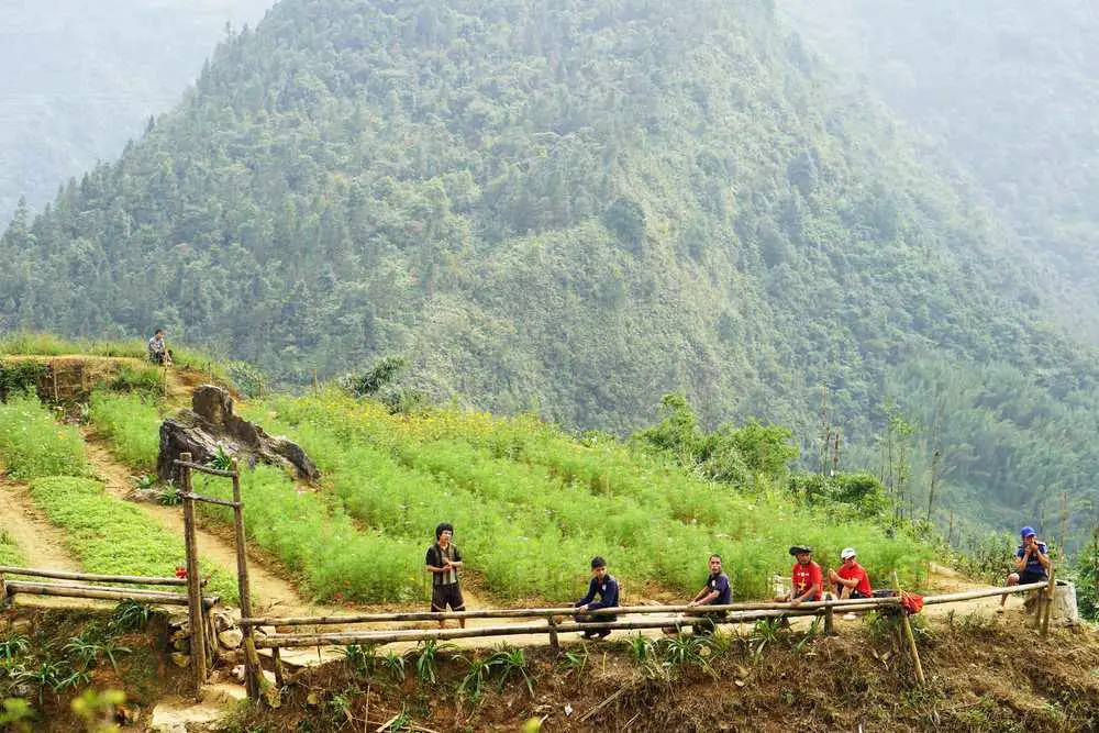Thung lũng Mường Hoa trong tour Sapa 2026