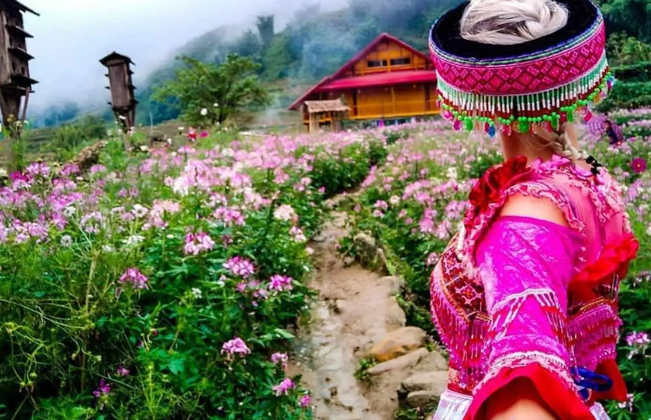 Tour Sapa mùa xuân ngắm hoa đào và hoa mận
