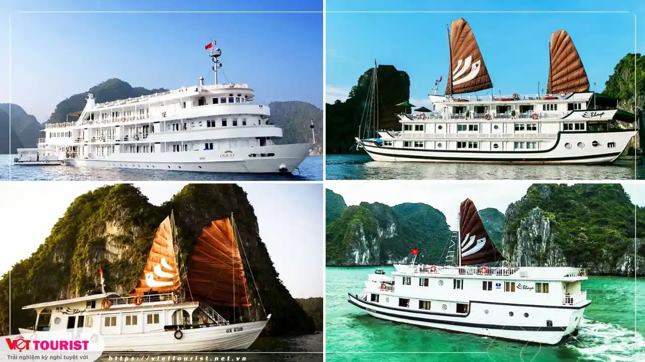Tour du lịch Hạ Long 2 Ngày 1 đêm giá tốt từ Hà Nội
