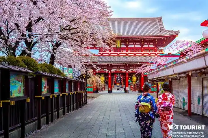Tour du lịch Nhật Bản 4 ngày 3 đêm khởi hành từ Sài Gòn giá tốt
