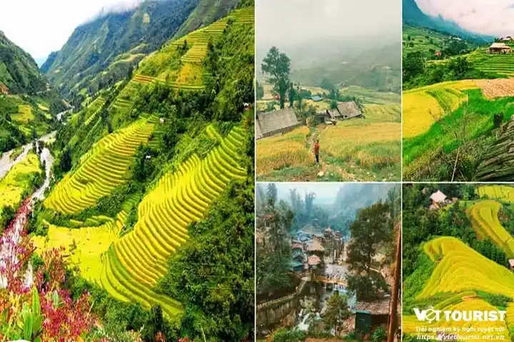 Tour du lịch Tây Bắc 5N4Đ - Hà Nội - Mai Châu - Mộc Châu - Sơn La - Điện Biên - Lai Châu - Sapa từ HCM