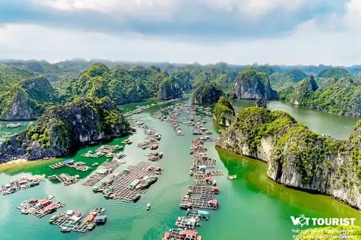 Tour du lịch Cát Bà 3 ngày 2 đêm - Vịnh Lan Hạ giá tốt từ Hà Nội