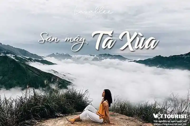 Tour Mộc Châu 2 ngày 1 đêm - Mùa Hoa Mộc Châu - Săn Mây Tà Xùa từ Hà Nội
