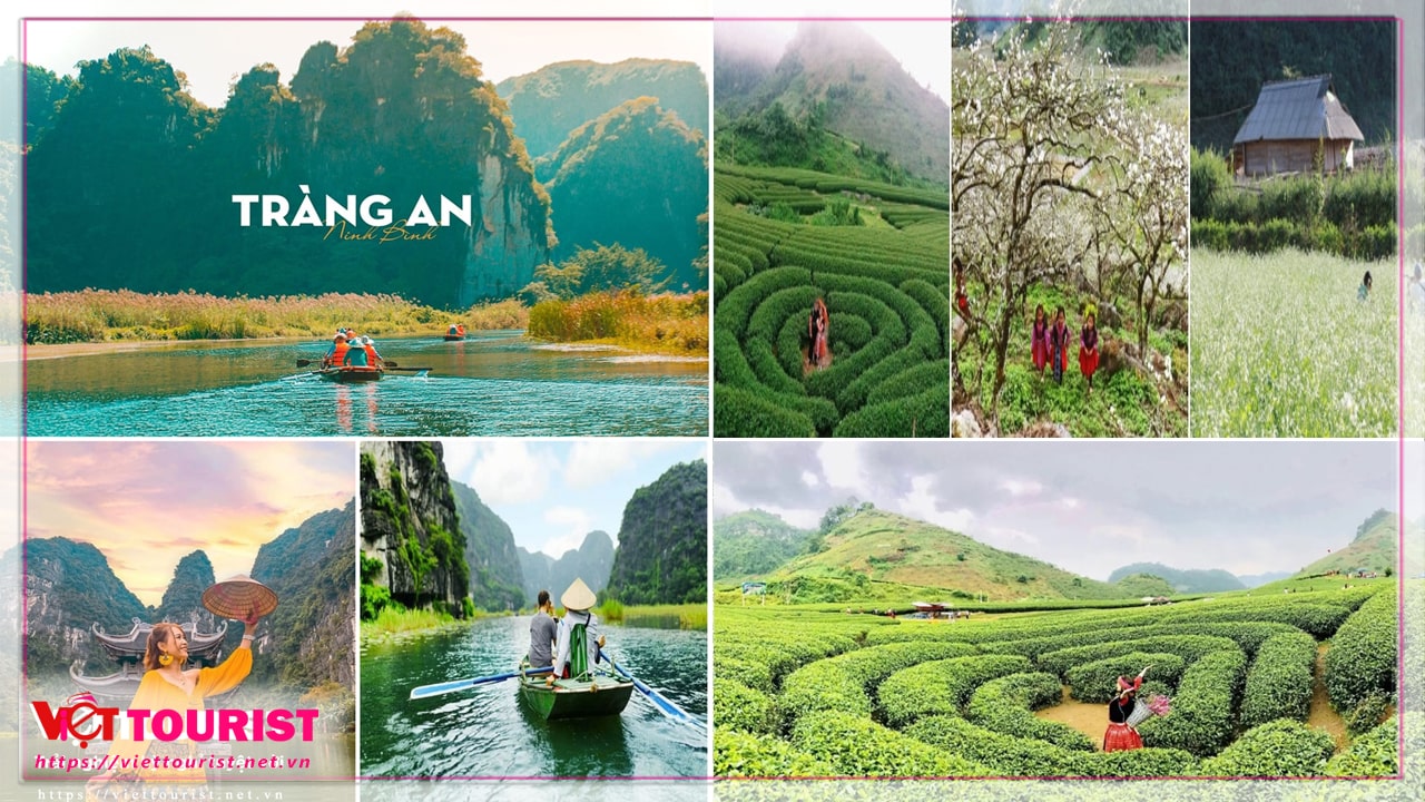 Tour du lịch Miền Bắc 4N3Đ: Hạ Long – Ninh Bình – Mộc Châu – Mai Châu từ Sài Gòn