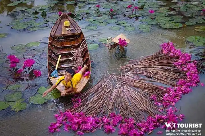 Tour du lịch Miền Tây 2 ngay - Cà Mau - Bạc Liêu - Sóc Trăng từ Sài Gòn