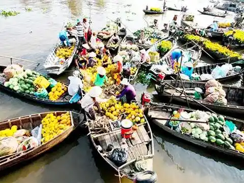Tour du lịch Miền Tây 1 ngày: Bến Tre – Mỹ Tho từ Sài Gòn
