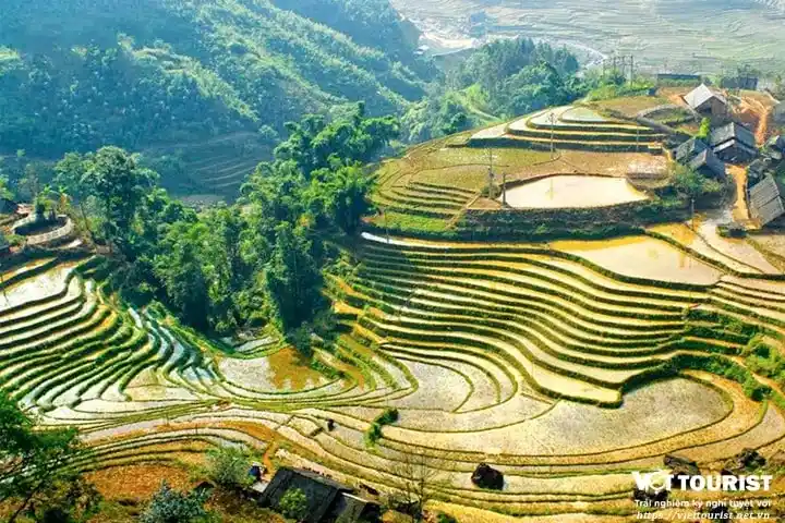 Du lịch Mai Châu - Mộc Châu - Sơn La - Điện Biên 3 ngày giá tốt từ Hà Nội