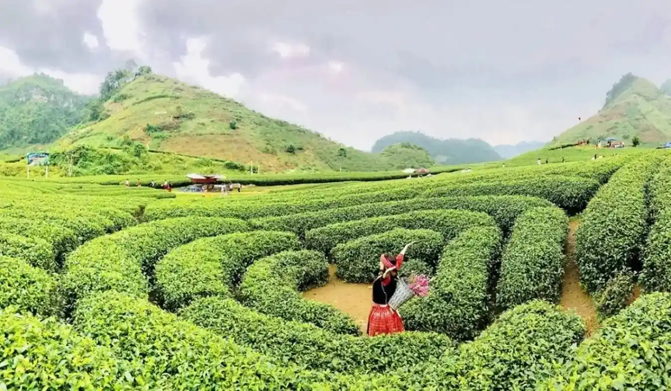 Du lịch Mộc Châu