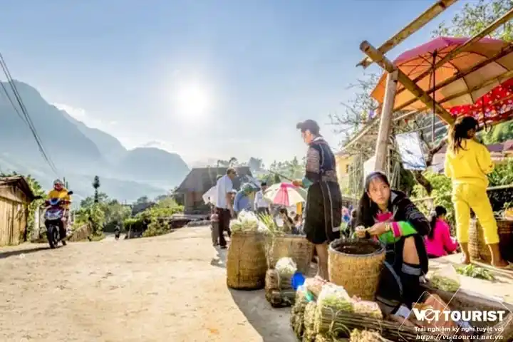 du lịch miền bắc 5 ngày 4 đêm từ sài gòn