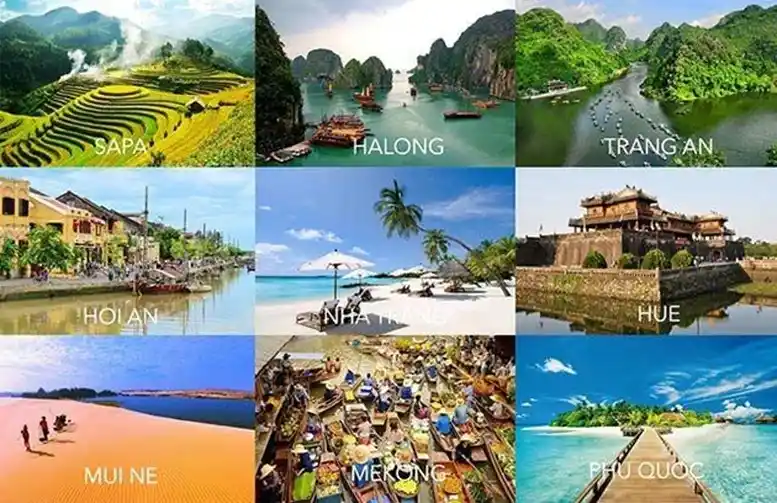 Gia đình tham gia Tour Du Lịch Hè Trong Nước 2027