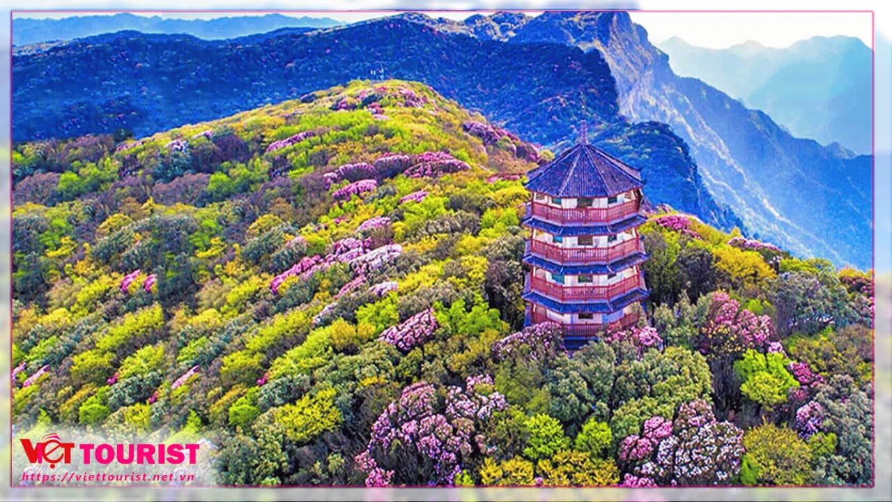 Tour du lịch Trung Quốc 4N4Đ: Trùng Khánh – Vũ Long – Rừng Quốc Gia Núi Tiên Nữ – Hồng Nhai Động