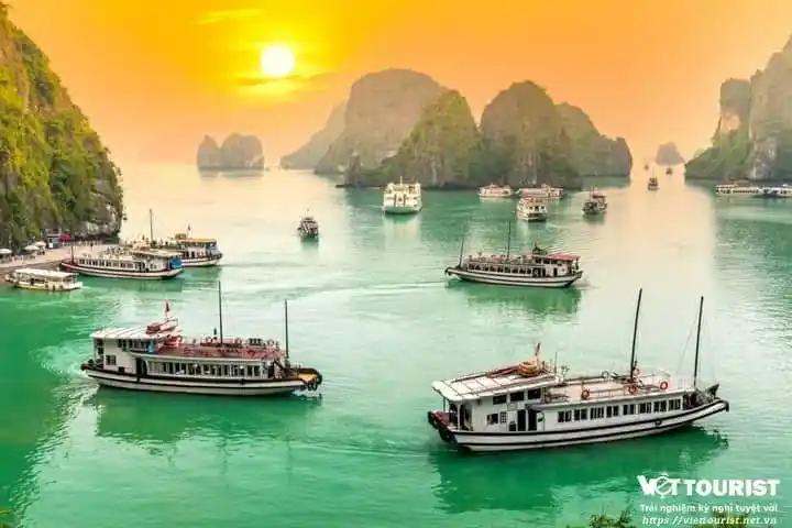 du lịch hà nội hạ long